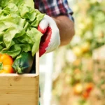 fresh-vegetable